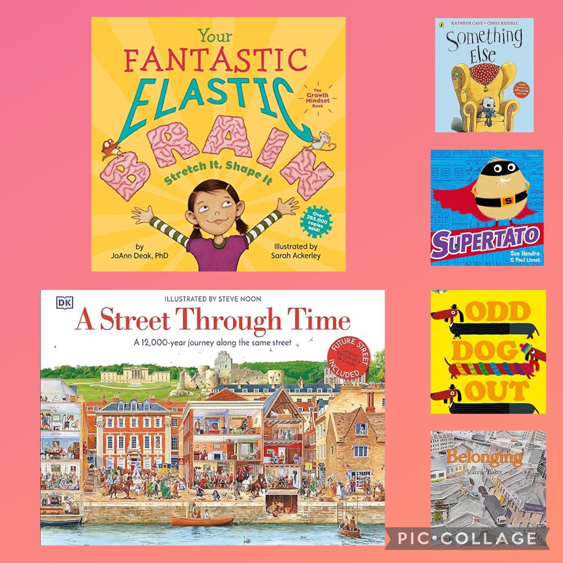 In English these are the wide range of exciting texts we will be reading.. 