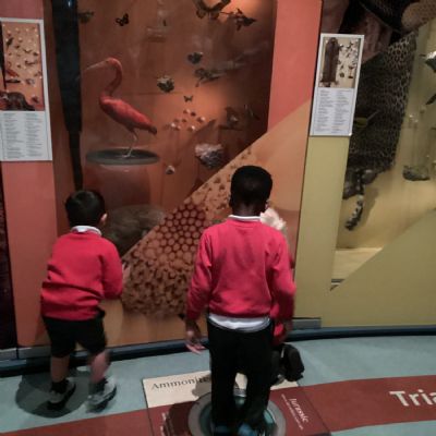 Leeds City Museum and Art Gallery